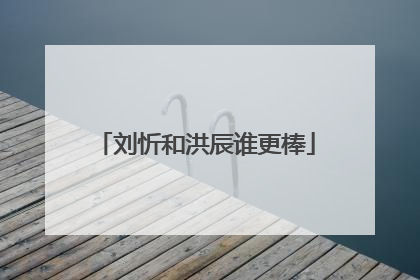 刘忻和洪辰谁更棒