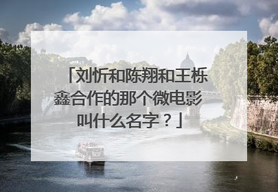 刘忻和陈翔和王栎鑫合作的那个微电影叫什么名字?