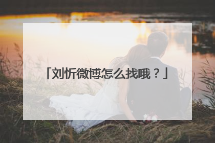 刘忻微博怎么找哦?