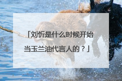 刘忻是什么时候开始当玉兰油代言人的？