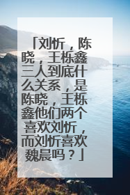 刘忻,陈晓,王栎鑫三人到底什么关系,是陈晓,王栎鑫他们两个喜欢刘忻,而刘忻喜欢魏晨吗?