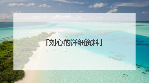 刘心的详细资料