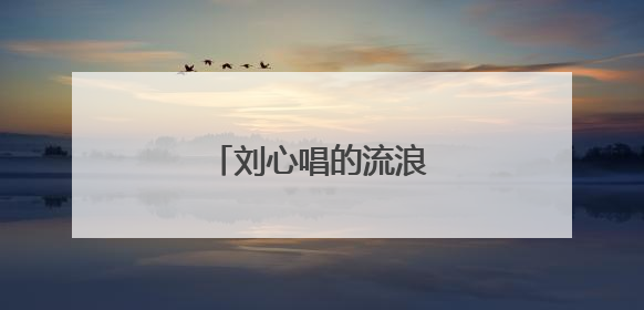 刘心唱的流浪记原唱是谁