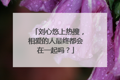 刘心悠上热搜，相爱的人最终都会在一起吗？