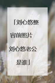 刘心悠整容前照片 刘心悠老公是谁