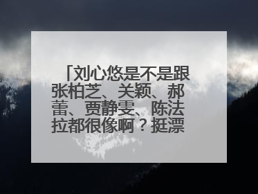 刘心悠是不是跟张柏芝、关颖、郝蕾、贾静雯、陈法拉都很像啊？挺漂亮的啊，为什么就是没红起来呢。