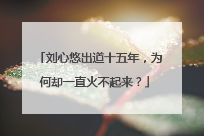 刘心悠出道十五年,为何却一直火不起来?