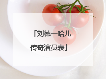 刘德一哈儿传奇演员表