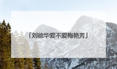 刘德华爱不爱梅艳芳