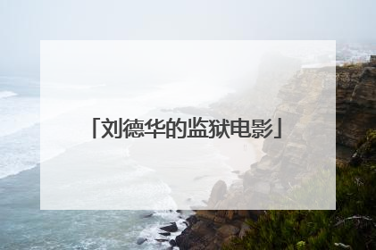 刘德华的监狱电影