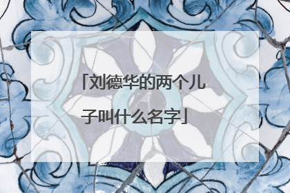 刘德华的两个儿子叫什么名字