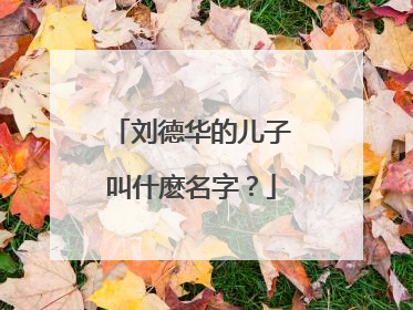 刘德华的儿子叫什麽名字？