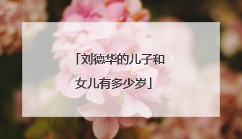 刘德华的儿子和女儿有多少岁