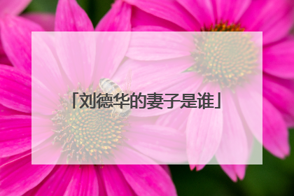 刘德华的妻子是谁