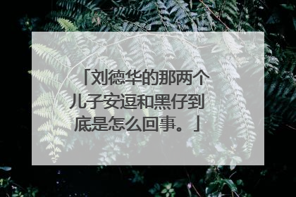 刘德华的那两个儿子安逗和黑仔到底是怎么回事。