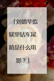 刘德华监狱里钻车尾箱是什么电影?