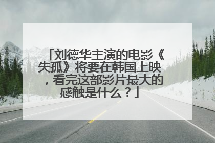 刘德华主演的电影《失孤》将要在韩国上映,看完这部影片最大的感触是什么?