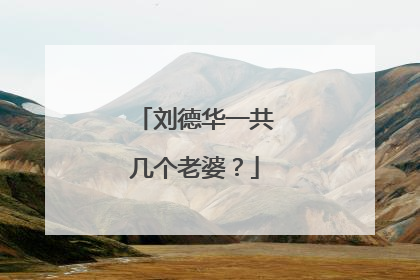 刘德华一共几个老婆？