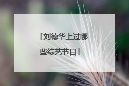 刘德华上过哪些综艺节目