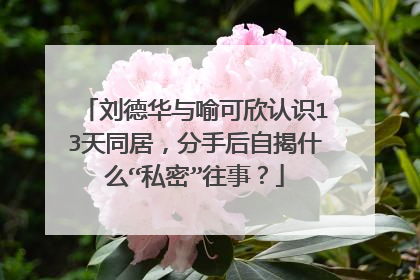 刘德华与喻可欣认识13天同居,分手后自揭什么“私密”往事?