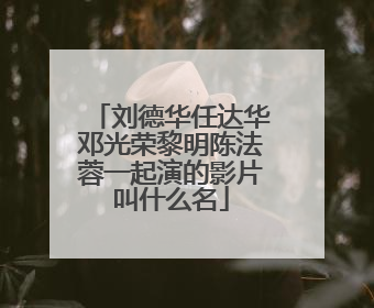 刘德华任达华邓光荣黎明陈法蓉一起演的影片叫什么名