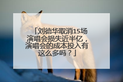 刘德华取消15场演唱会损失近半亿，演唱会的成本投入有这么多吗？