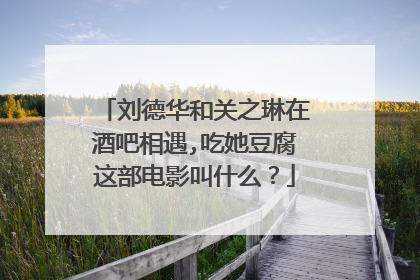 刘德华和关之琳在酒吧相遇,吃她豆腐这部电影叫什么？