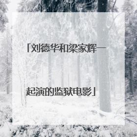 刘德华和梁家辉一起演的监狱电影