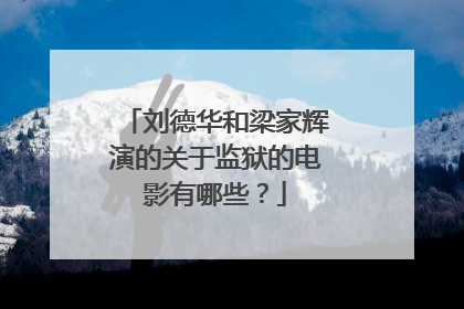 刘德华和梁家辉演的关于监狱的电影有哪些？