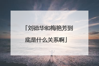 刘德华和梅艳芳到底是什么关系啊