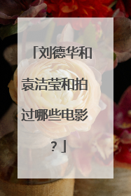 刘德华和袁洁莹和拍过哪些电影？