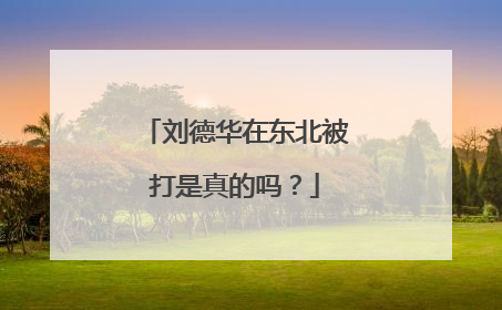 刘德华在东北被打是真的吗？