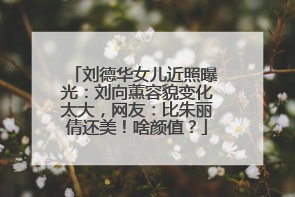刘德华女儿近照曝光：刘向蕙容貌变化太大，网友：比朱丽倩还美！啥颜值？