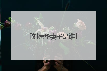 刘德华妻子是谁
