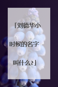刘德华小时候的名字叫什么?