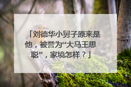 刘德华小舅子原来是他，被誉为“大马王思聪”，家境怎样？