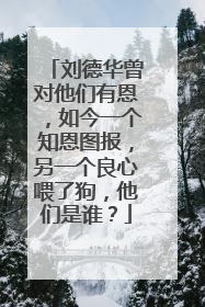 刘德华曾对他们有恩，如今一个知恩图报，另一个良心喂了狗，他们是谁？