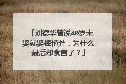 刘德华曾说40岁未娶就娶梅艳芳，为什么最后却食言了？