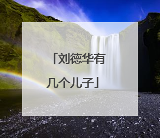 刘德华有几个儿子