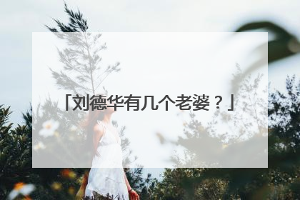 刘德华有几个老婆?