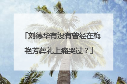 刘德华有没有曾经在梅艳芳葬礼上痛哭过？