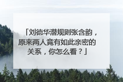 刘德华潜规则张含韵,原来两人竟有如此亲密的关系,你怎么看?
