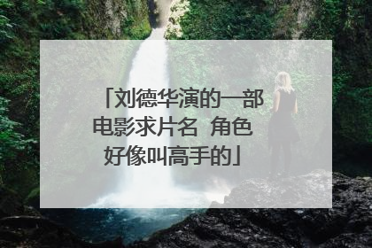 刘德华演的一部电影求片名 角色好像叫高手的