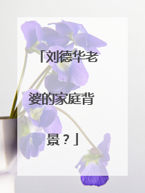 刘德华老婆的家庭背景？