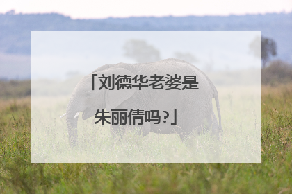 刘德华老婆是朱丽倩吗?