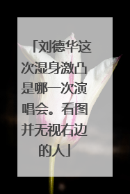 刘德华这次湿身激凸是哪一次演唱会。看图并无视右边的人