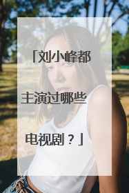 刘小峰都主演过哪些电视剧？