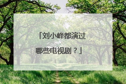 刘小峰都演过哪些电视剧？