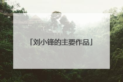 刘小锋的主要作品
