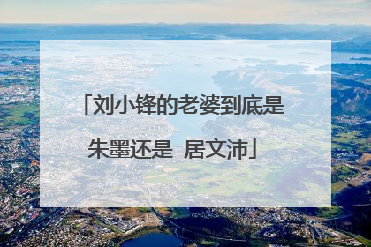 刘小锋的老婆到底是朱墨还是 居文沛